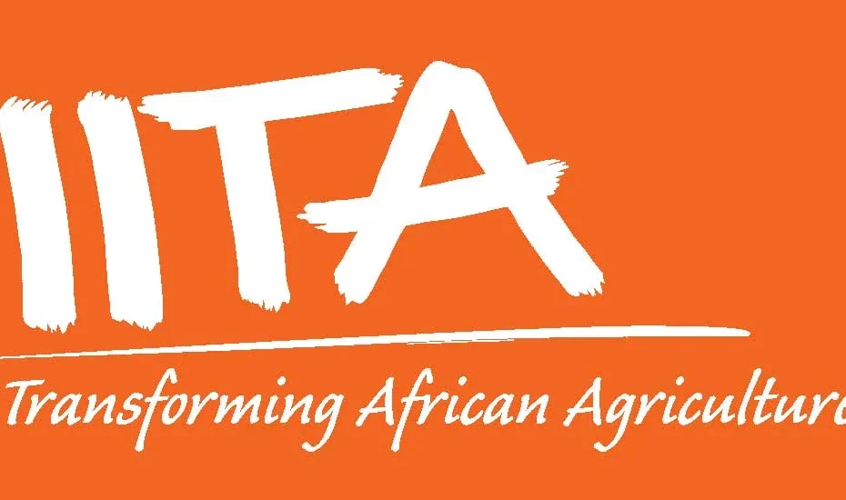 IITA Recruitment