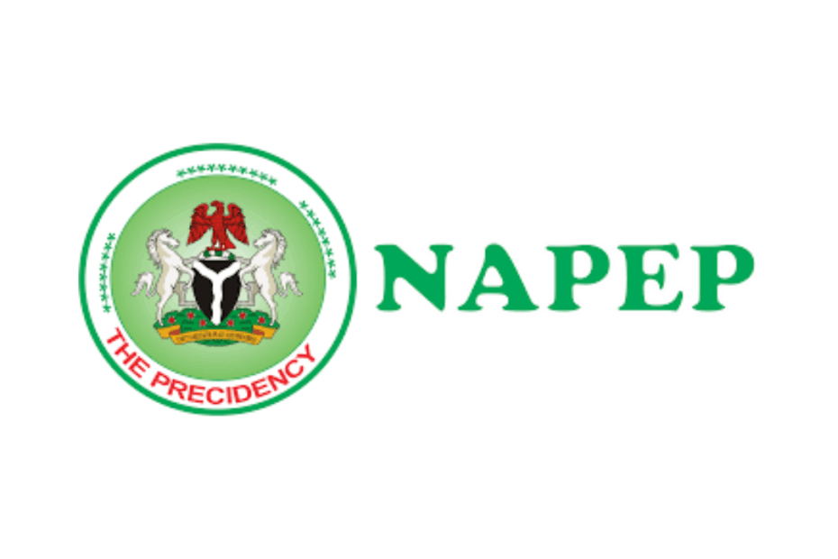 NAPEP shortlisted candidates